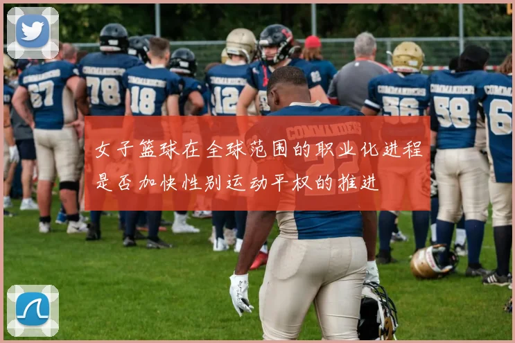 女子篮球在全球范围的职业化进程是否加快性别运动平权的推进